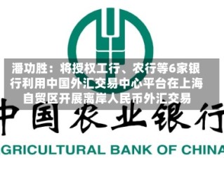 潘功胜：将授权工行、农行等6家银行利用中国外汇交易中心平台在上海自贸区开展离岸人民币外汇交易