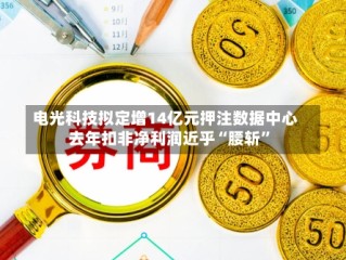 电光科技拟定增14亿元押注数据中心 去年扣非净利润近乎“腰斩”