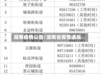 湖南疫情公告/湖南省疫情通报