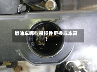 燃油车哪些易损件更换成本高？