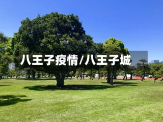 八王子疫情/八王子城