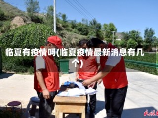 临夏有疫情吗(临夏疫情最新消息有几个)