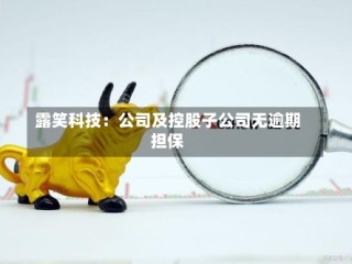 露笑科技：公司及控股子公司无逾期担保