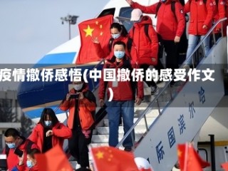 疫情撤侨感悟(中国撤侨的感受作文)