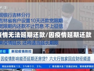 疫情无法延期还款/因疫情延期还款
