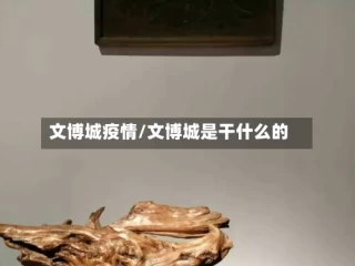 文博城疫情/文博城是干什么的
