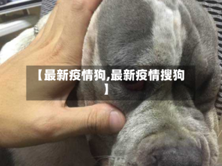 【最新疫情狗,最新疫情搜狗】