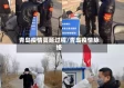 青岛疫情蔓延过程/青岛疫情脉络
