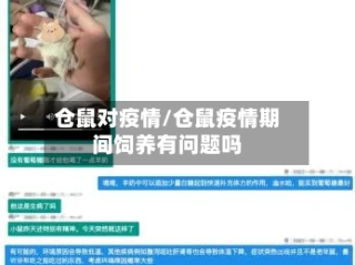 仓鼠对疫情/仓鼠疫情期间饲养有问题吗
