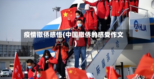 疫情撤侨感悟(中国撤侨的感受作文)-第1张图片
