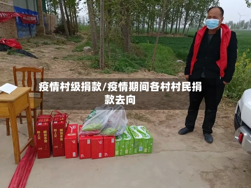 疫情村级捐款/疫情期间各村村民捐款去向-第3张图片