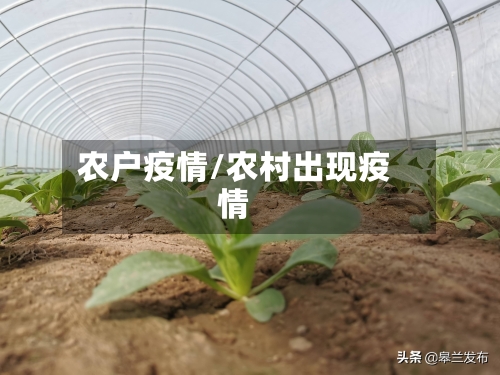 农户疫情/农村出现疫情-第1张图片