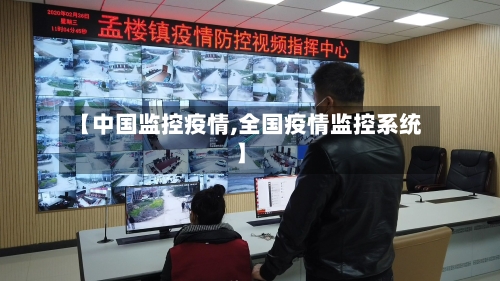 【中国监控疫情,全国疫情监控系统】-第2张图片
