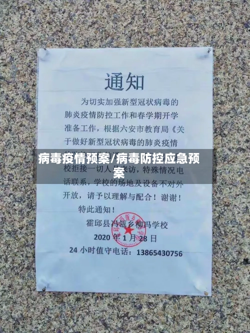 病毒疫情预案/病毒防控应急预案-第2张图片