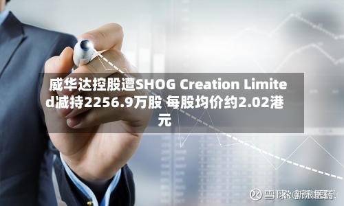 威华达控股遭SHOG Creation Limited减持2256.9万股 每股均价约2.02港元-第1张图片
