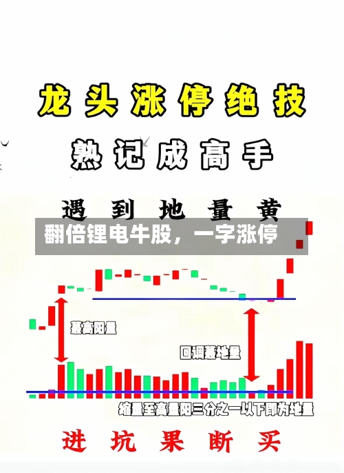 翻倍锂电牛股，一字涨停-第3张图片