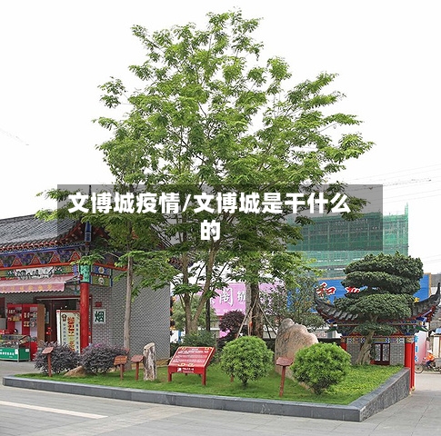 文博城疫情/文博城是干什么的-第2张图片