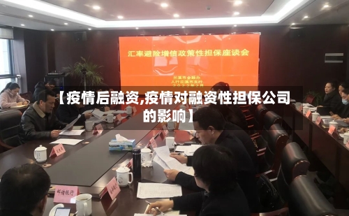 【疫情后融资,疫情对融资性担保公司的影响】-第1张图片