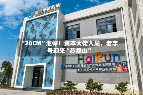 “20CM”涨停！资本大佬入局	，老字号迎来“芯靠山”-第1张图片