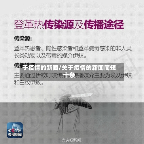于疫情的新闻/关于疫情的新闻简短十条-第1张图片