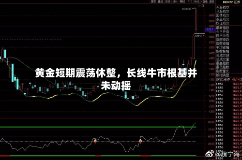 黄金短期震荡休整，长线牛市根基并未动摇-第3张图片