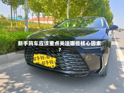 新手购车应该重点关注哪些核心因素?-第2张图片